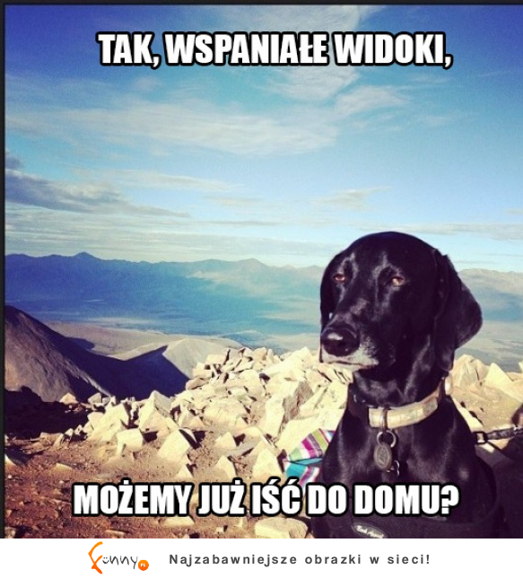 Idziemy do odmu