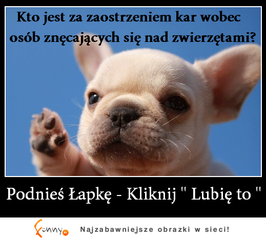 LUBIĘ TO!