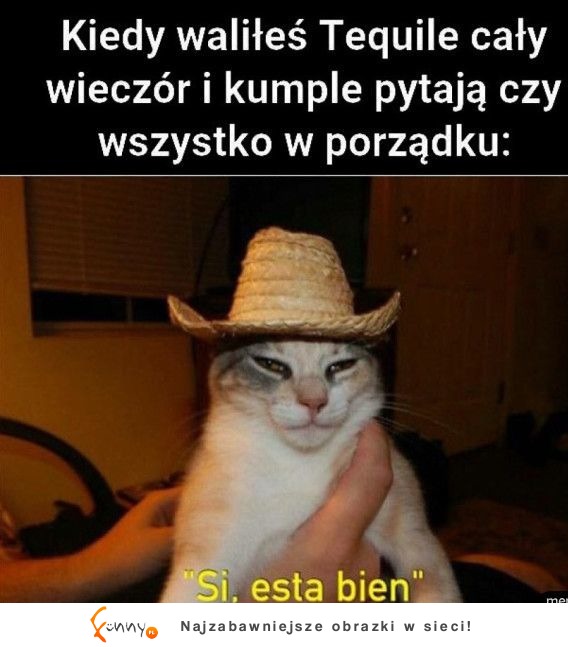 Jakbym widział siebie XD