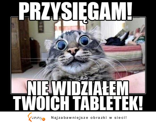 Żadnych tabletek