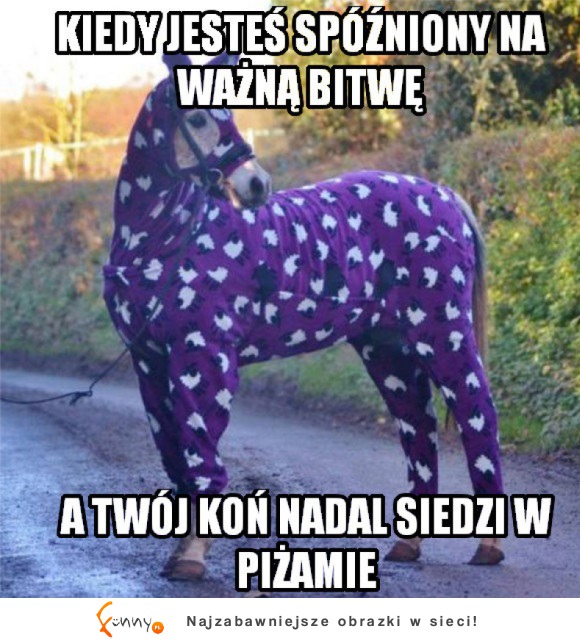 Koń w piżamie