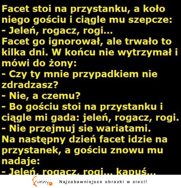 Facet stoi na przystanku, a koło niego gościu i ciągle mu szepcze: - Jelen, rogacz, rogi...! HAHA :D