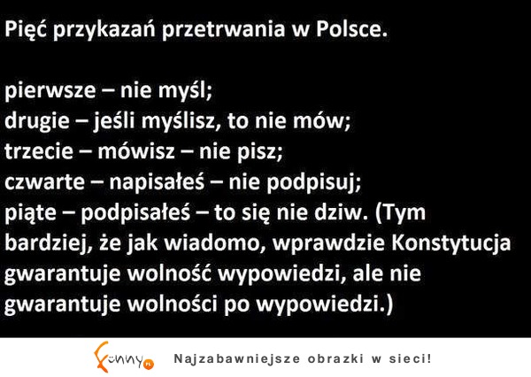 Pięć przykazań przetrwania w Polsce. :-)