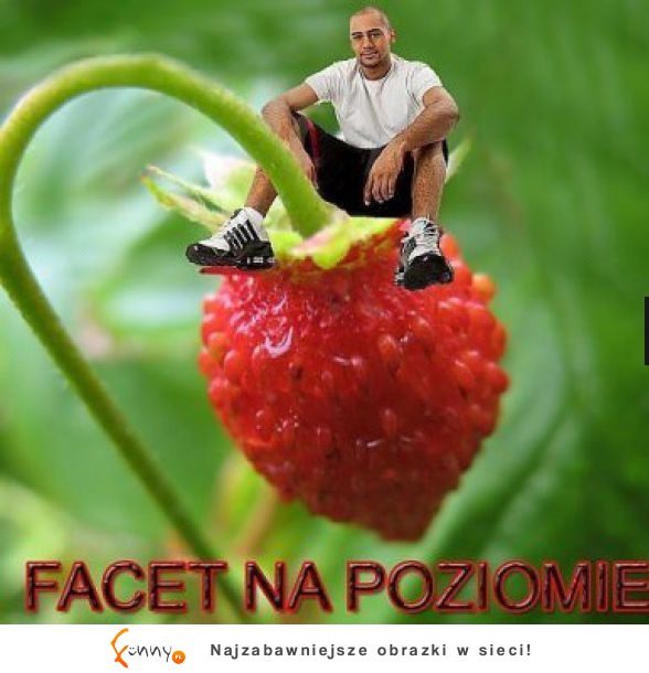 Na poziomie