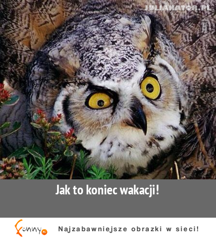 Jak to koniec wakacji!