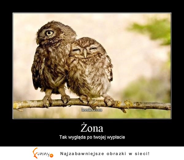 Żona ;)