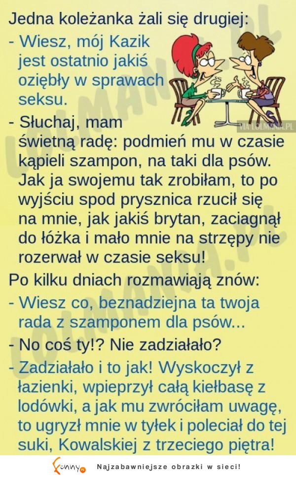 Koleżanka żali się drugiej, że ma problem z mężem... Ale jej poradziła!