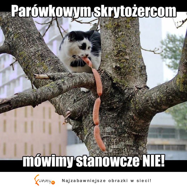 Parówkowym skrytożercom mówimy stanowcze NIE