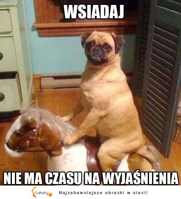 Wsiadaj :D