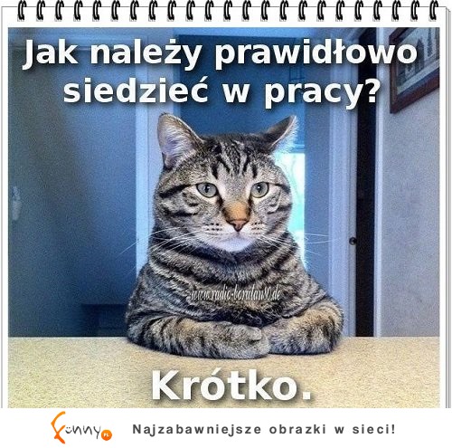 Krótko