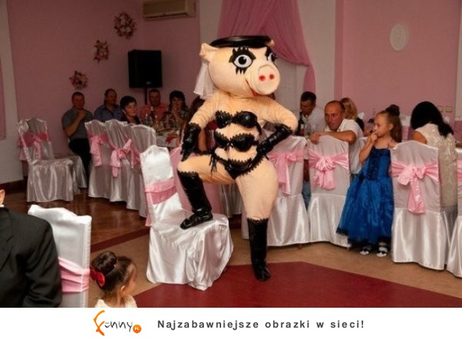 Zestawienie totalnie absurdalnych, ale zabawnych zdjęć Zestawienie totalnie absurdalnych, ale zabawnych zdjęć