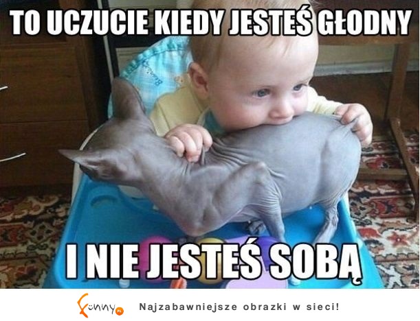 Kiedy jesteś głodny