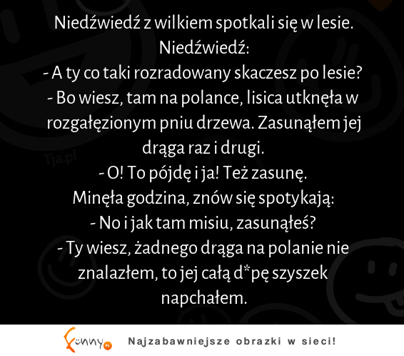 Niedzwiedz z wilkiem spotkali się w lesie :D