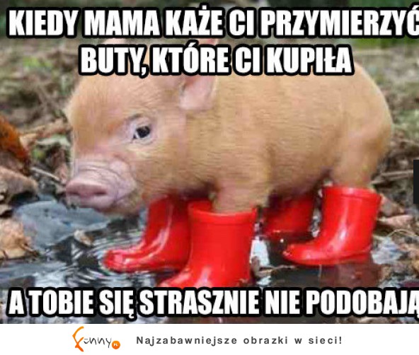 Nie podobaja mu się