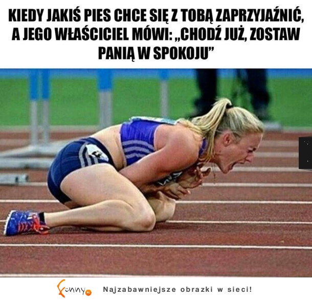 Kiedy jakiś pies chce się z tobą zaprzyjaźnić