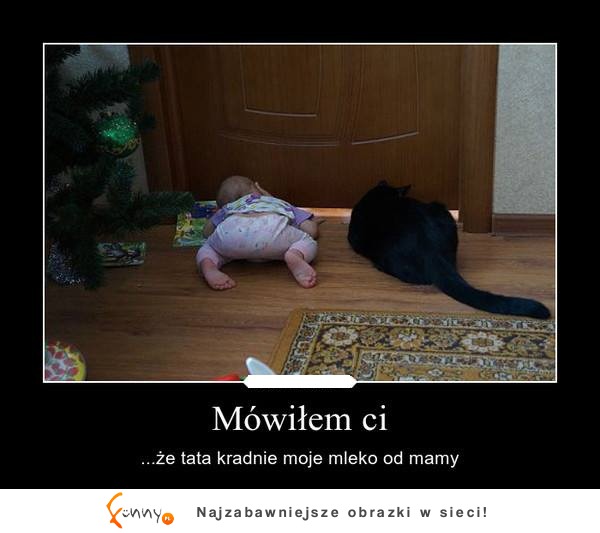 Mówiłem ci