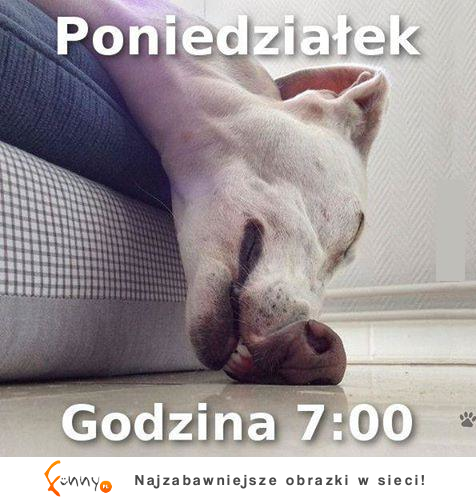 Już niebawem :/