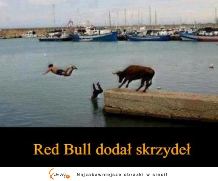 red bull