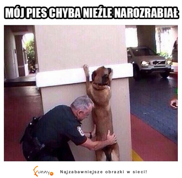 Nieźle narozrabiał