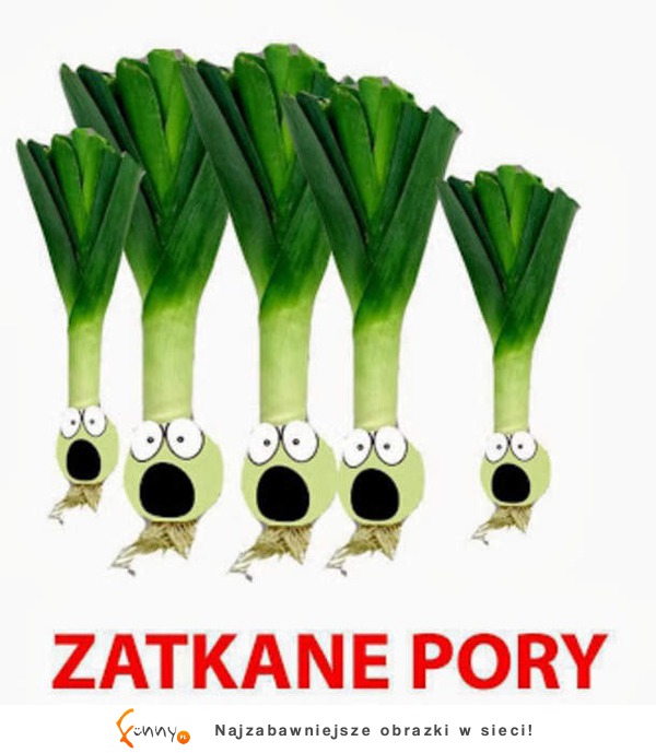 Zatkane pory