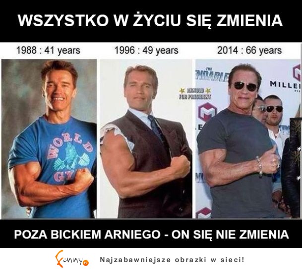 ZOBACZ jak się zmieniają bicki Arniego!  :D