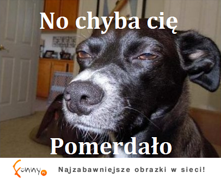 No chyba cię POMERDAŁO :)