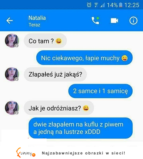 łapie muchy