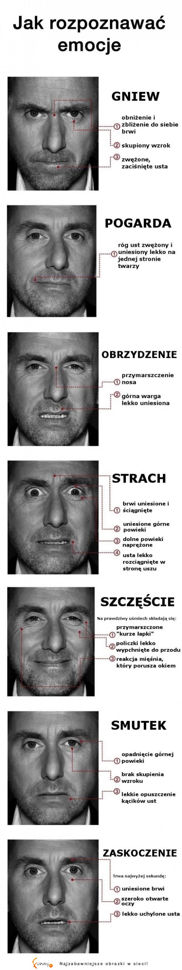 Zobacz jak ŁATWO rozpozawać EMOCJE u drugiej OSOBY! Twarz prawdę ci powie ;)