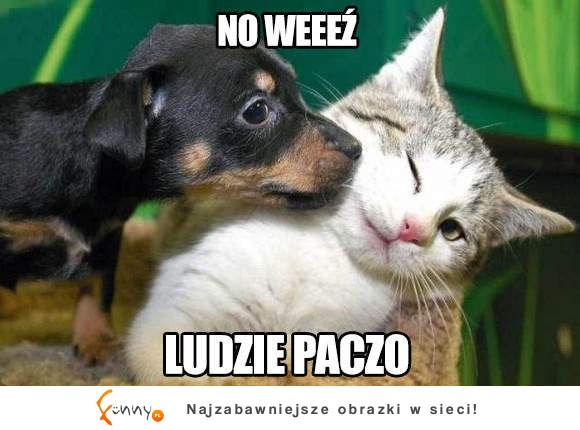 Ludzie paczo