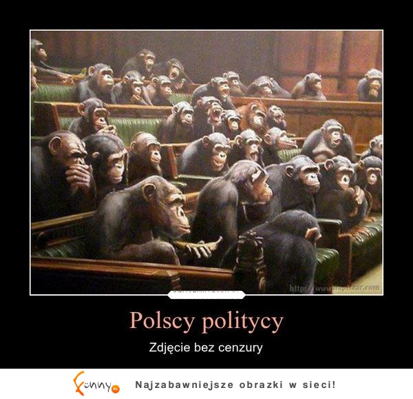 Polscy politycy