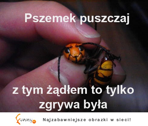 Pszemek puszczaj