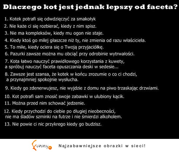 Dlaczego jednak kot jest lepszy od faceta? 13 powodów :D