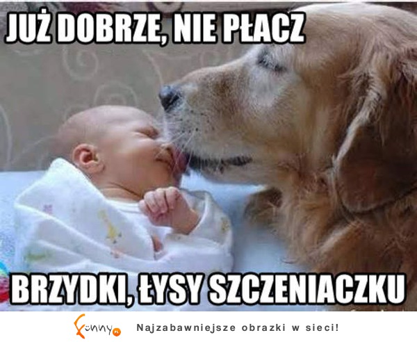 Nie płacz szczeniaczku