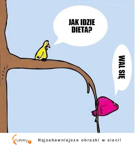 Jak idzie dieta? :D