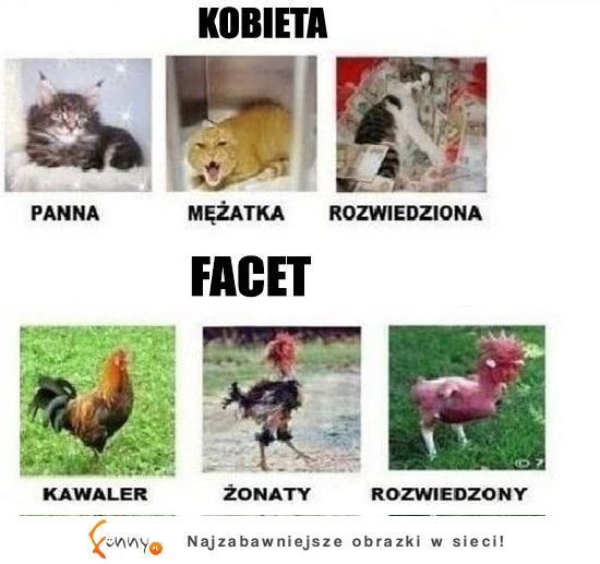 KOBIETA vs FACET! Zgadza się? ;)