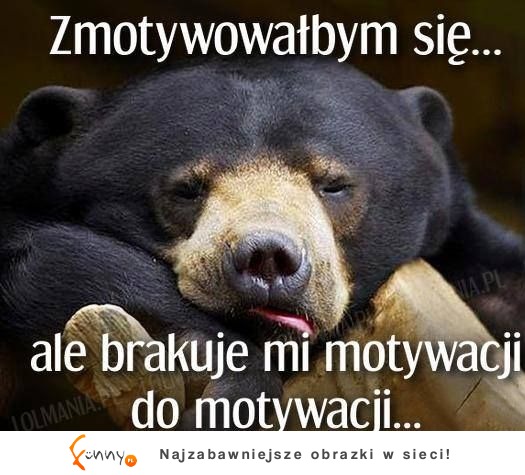 motywacja