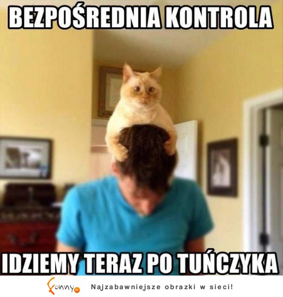 Bezpośrednia kontrola