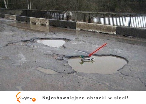 Na co są dziury w polskich drogach? Zobacz co jest w środku!