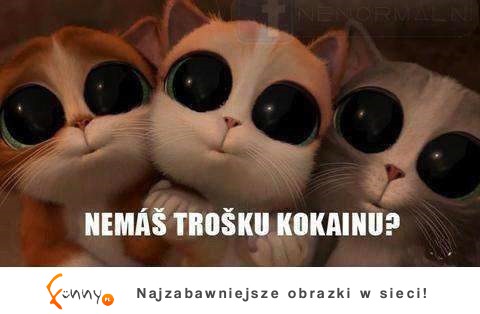 Tylko trosku
