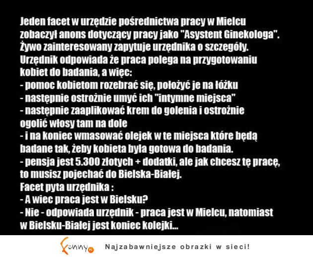 Urząd pracy "Asystent Ginekologa" haha :D