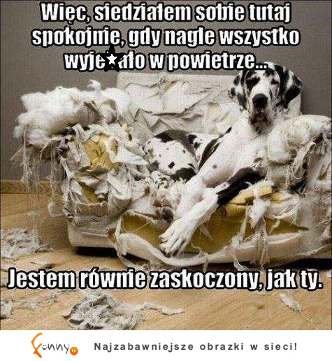 Jestem zaskoczony