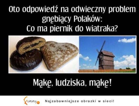 Zagdaka rozwiązana