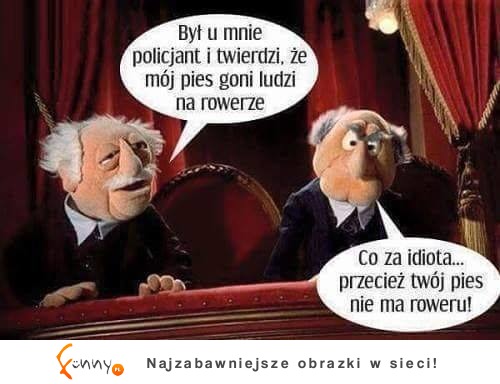 przeciez twój pies!