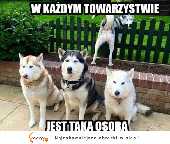 Jak tak na górze XDD