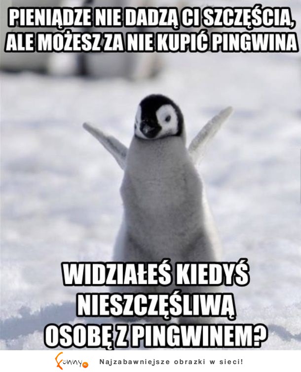 Pingwinki szcześcia ;)