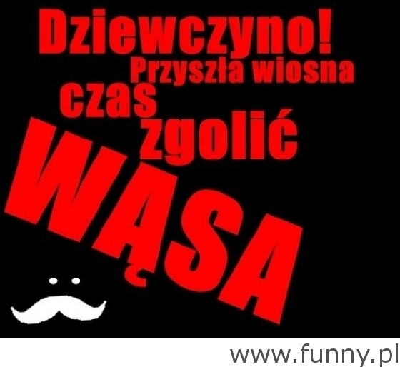 Zgol wasa