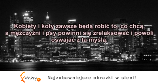 Kobiety i koty...