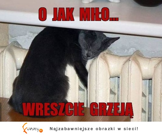 O jak miło :D