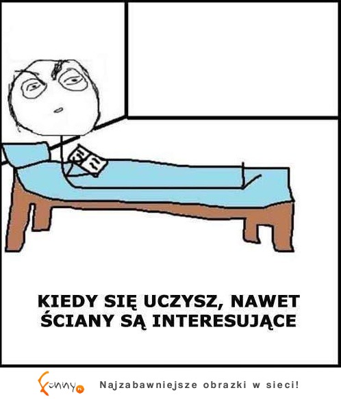 Kiedy sie uczysz, nawet ściany są interesujące