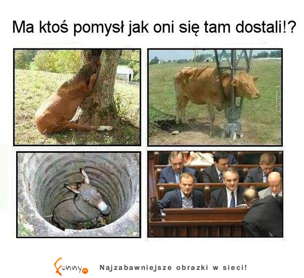 Ma ktoś pomysł jak oni się tam dostali? ;D